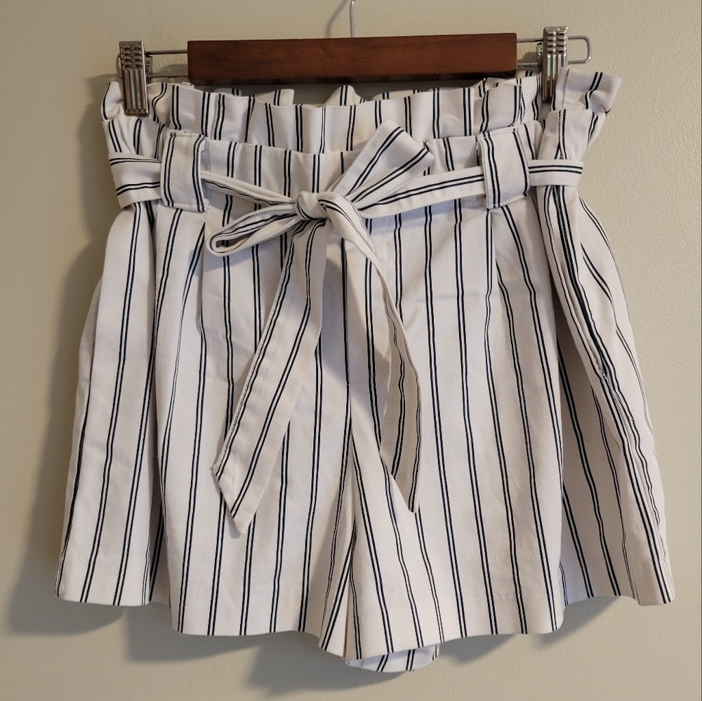 Zara TRF Collection High Waisted Shorts, Large